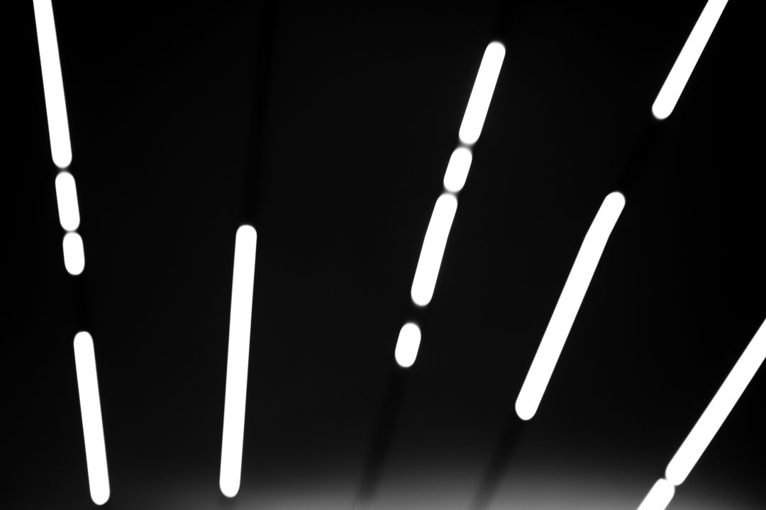 _OM_5616-copia